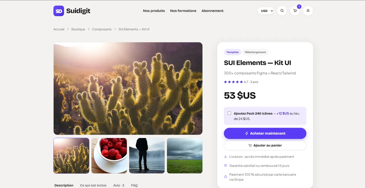 Aperçu de la plateforme — Une page qui vend (USD)