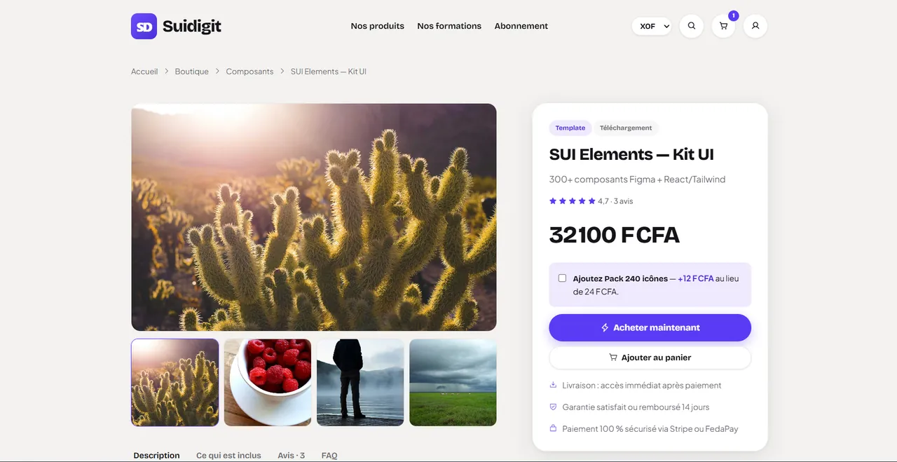 Aperçu de la plateforme — Une page qui vend (FCFA)